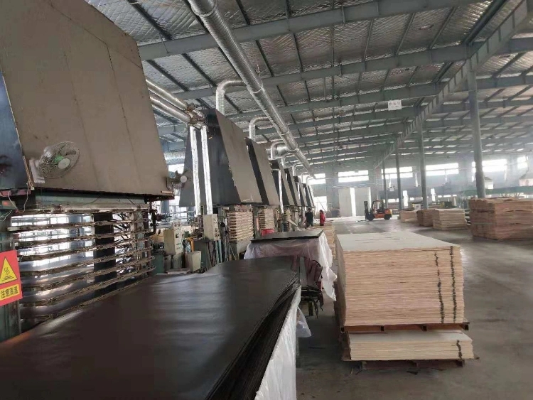 plywood factory manufacturing vietnam supplier